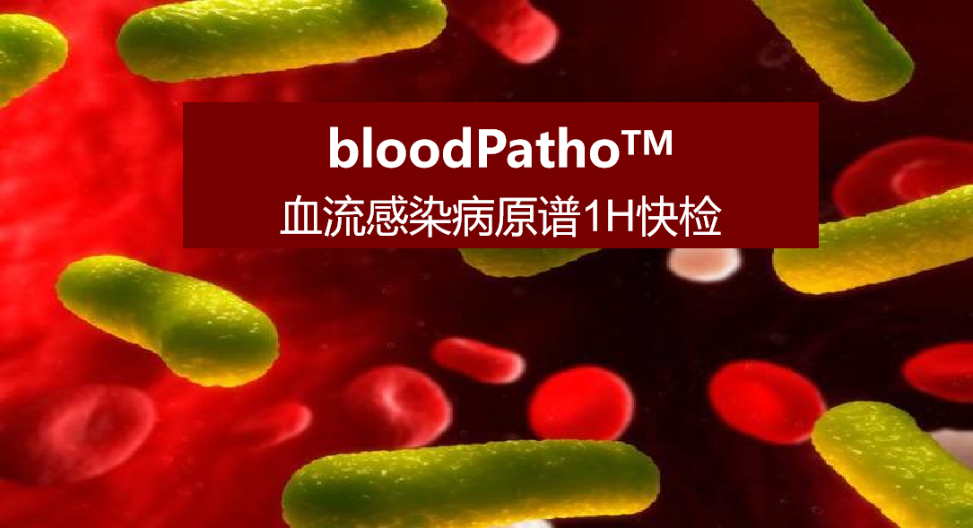 bloodPatho，血流感染病原谱