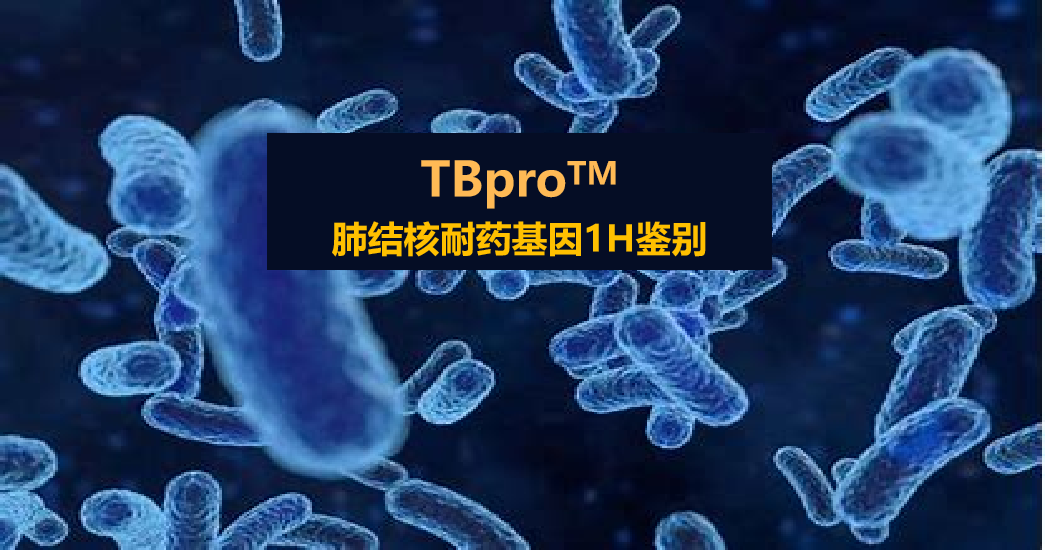 TBpro，结核菌耐药谱